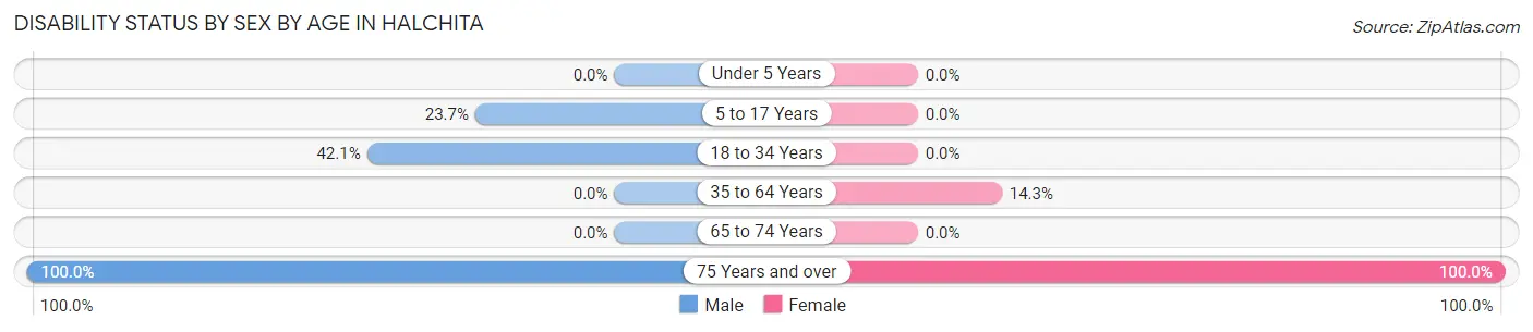 Disability Status by Sex by Age in Halchita