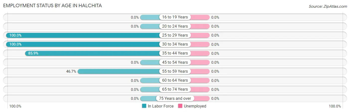 Employment Status by Age in Halchita