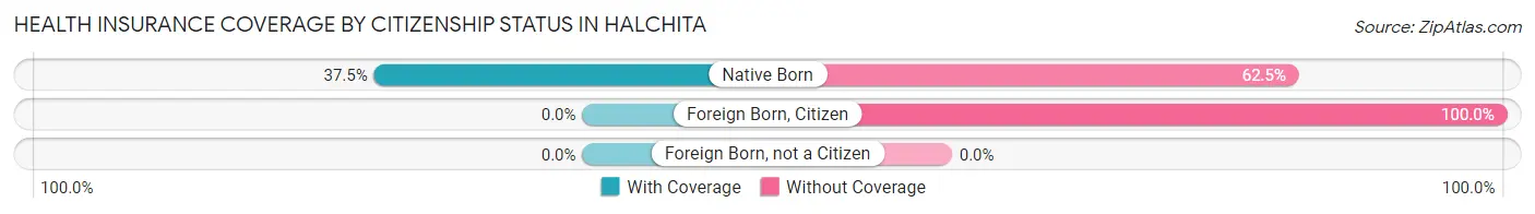 Health Insurance Coverage by Citizenship Status in Halchita