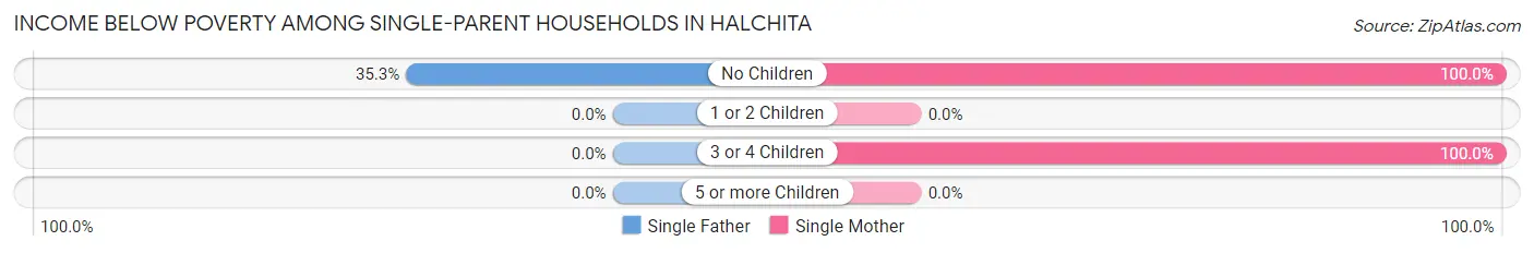 Income Below Poverty Among Single-Parent Households in Halchita