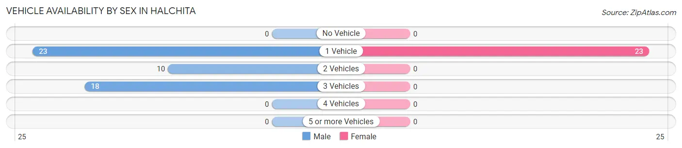 Vehicle Availability by Sex in Halchita