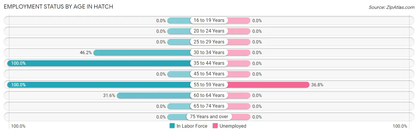 Employment Status by Age in Hatch