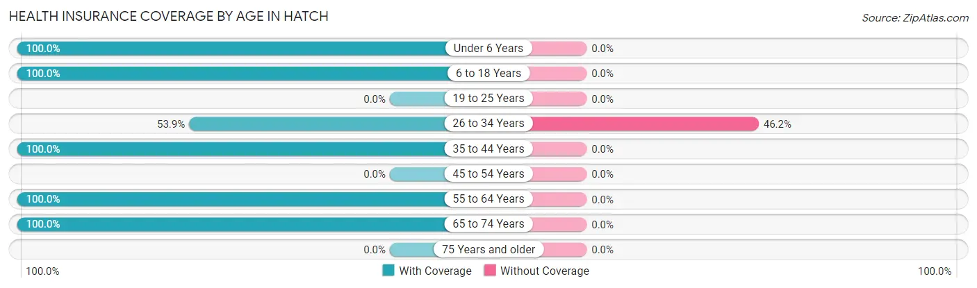 Health Insurance Coverage by Age in Hatch