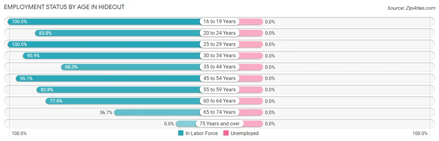 Employment Status by Age in Hideout