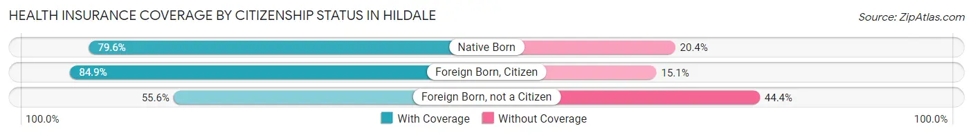 Health Insurance Coverage by Citizenship Status in Hildale