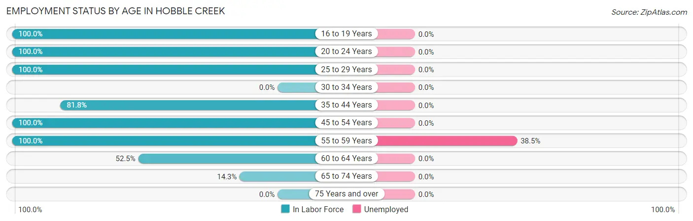 Employment Status by Age in Hobble Creek