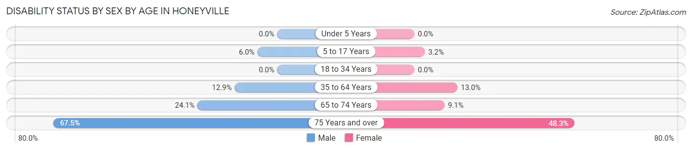 Disability Status by Sex by Age in Honeyville