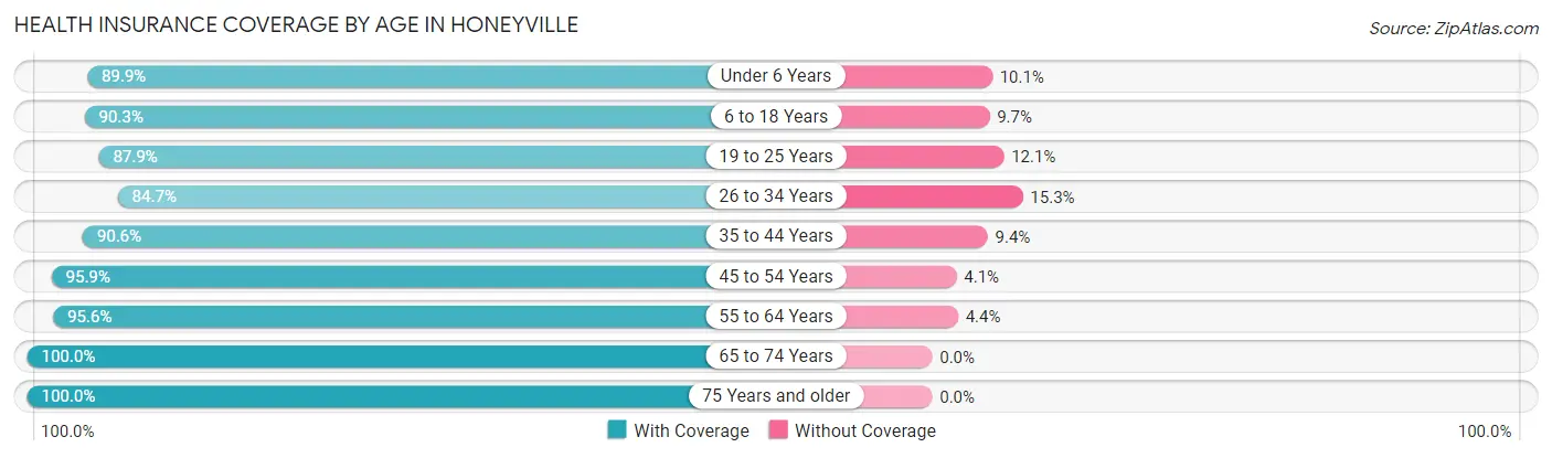 Health Insurance Coverage by Age in Honeyville