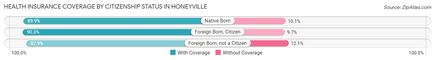 Health Insurance Coverage by Citizenship Status in Honeyville