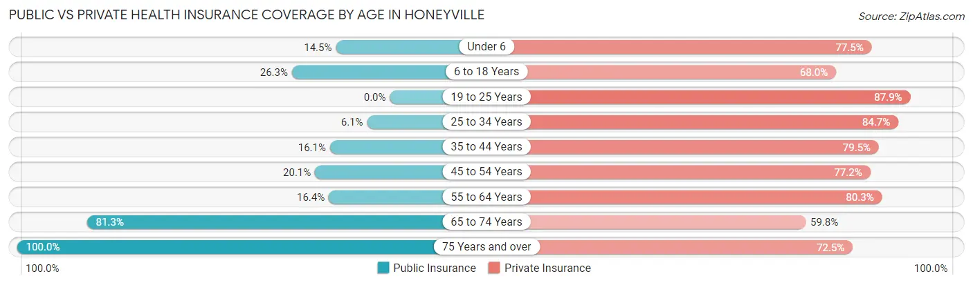 Public vs Private Health Insurance Coverage by Age in Honeyville