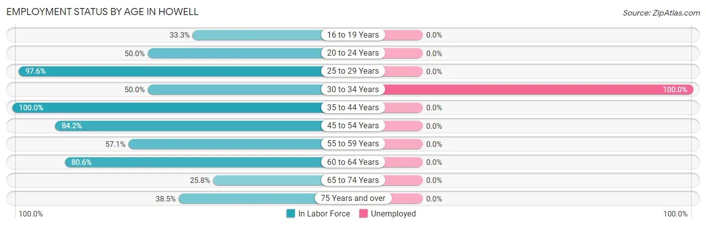 Employment Status by Age in Howell