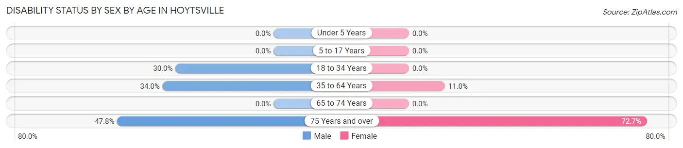 Disability Status by Sex by Age in Hoytsville