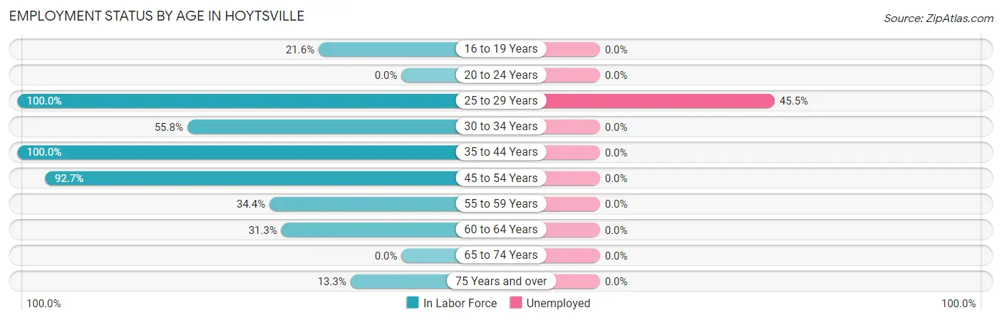Employment Status by Age in Hoytsville