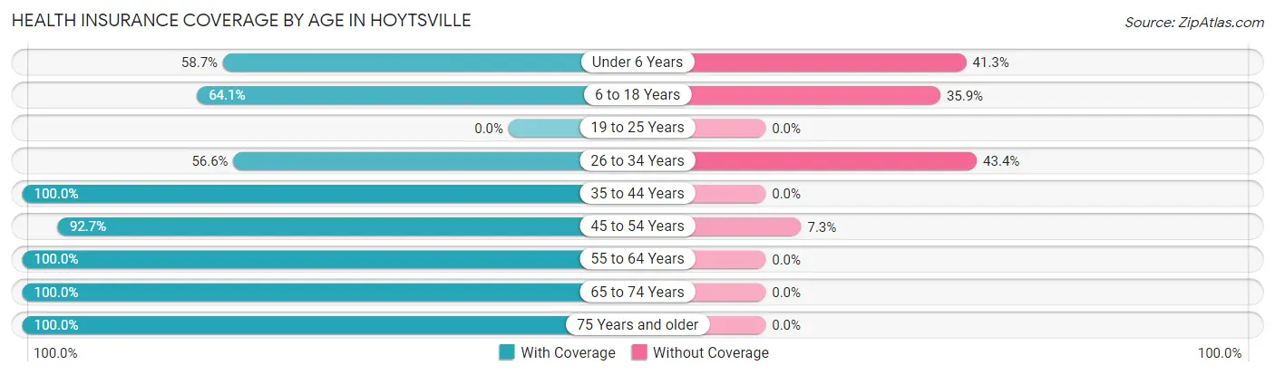 Health Insurance Coverage by Age in Hoytsville