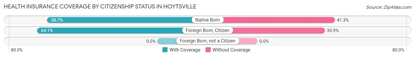 Health Insurance Coverage by Citizenship Status in Hoytsville