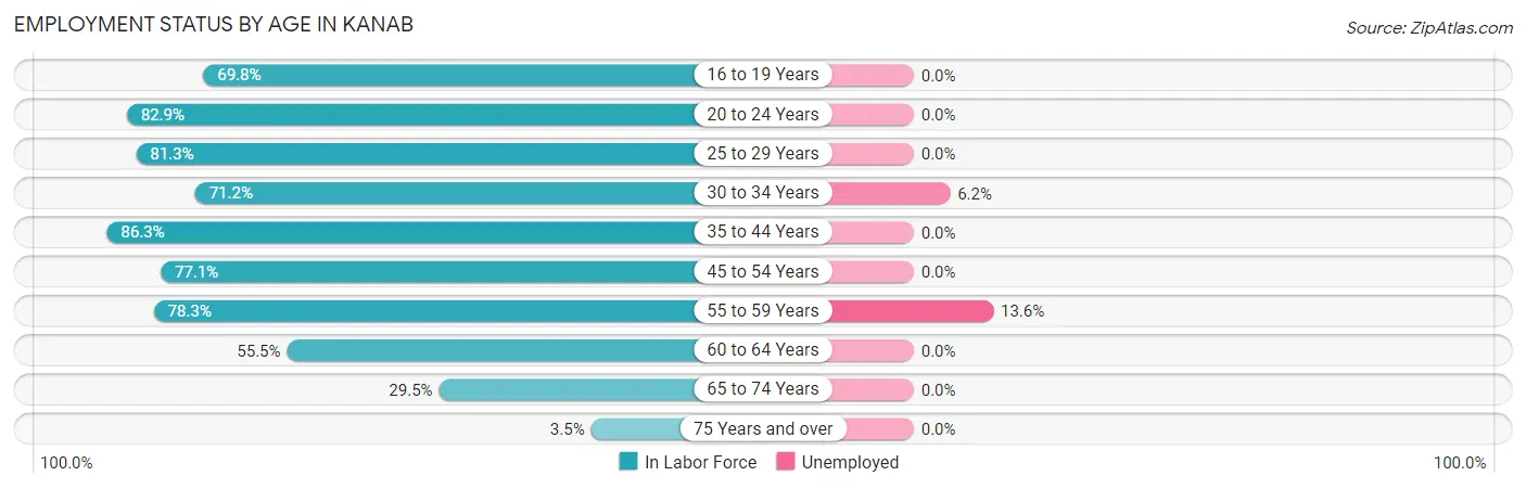 Employment Status by Age in Kanab