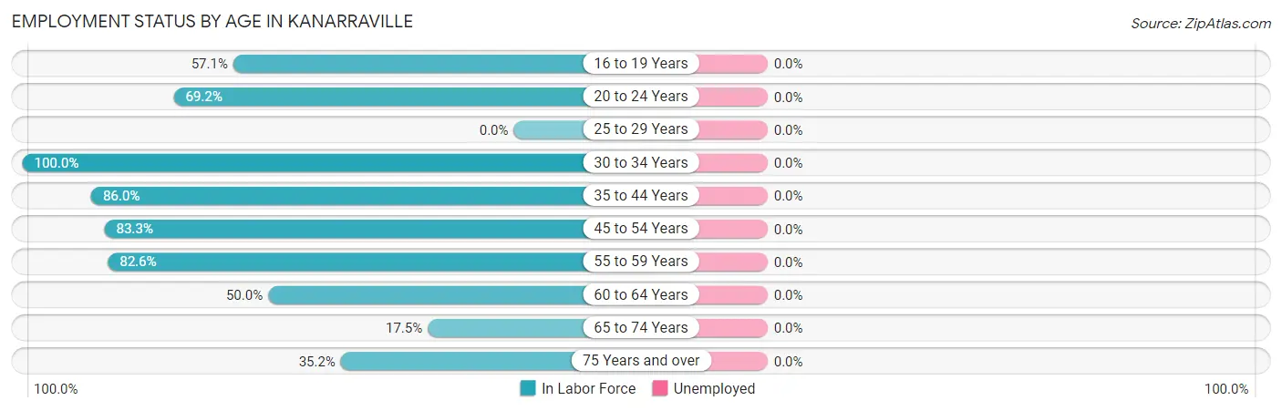 Employment Status by Age in Kanarraville