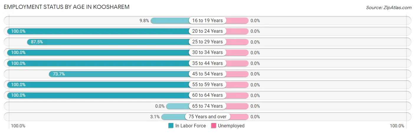 Employment Status by Age in Koosharem