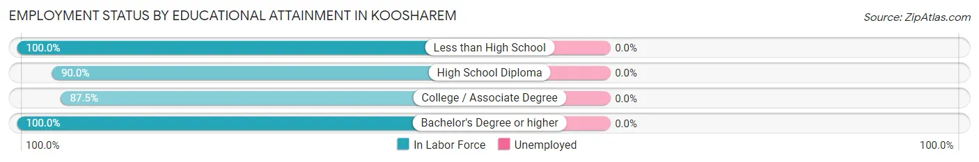 Employment Status by Educational Attainment in Koosharem