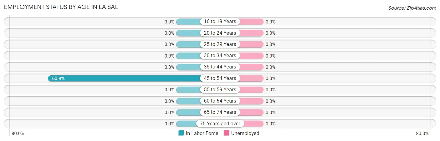 Employment Status by Age in La Sal