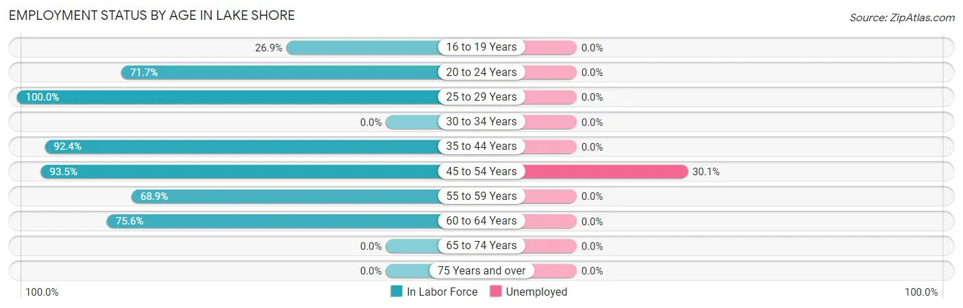 Employment Status by Age in Lake Shore