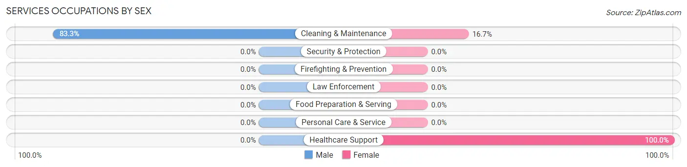 Services Occupations by Sex in Leamington