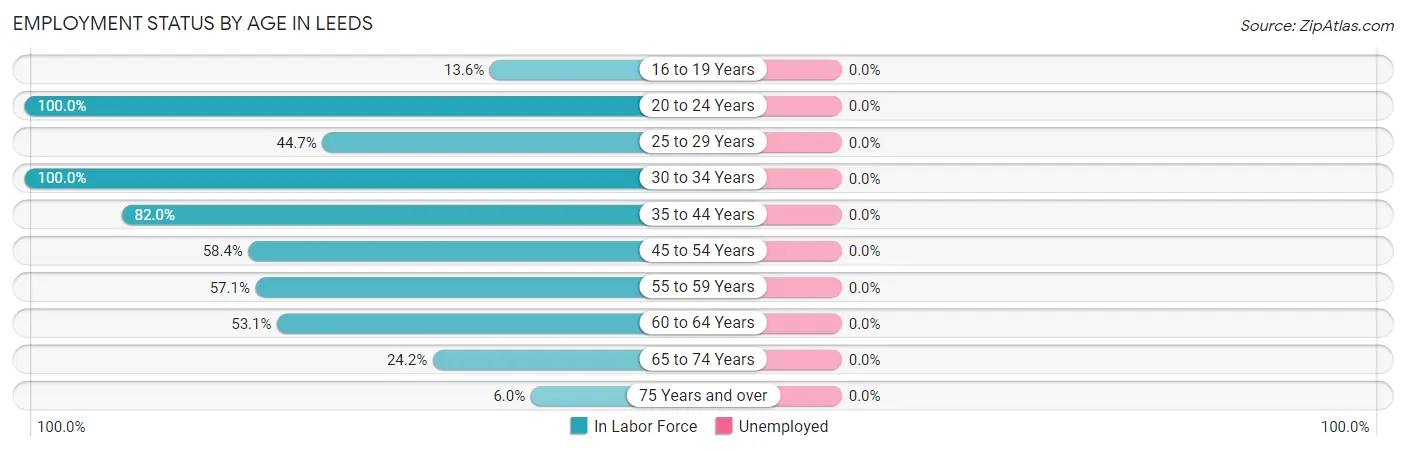 Employment Status by Age in Leeds