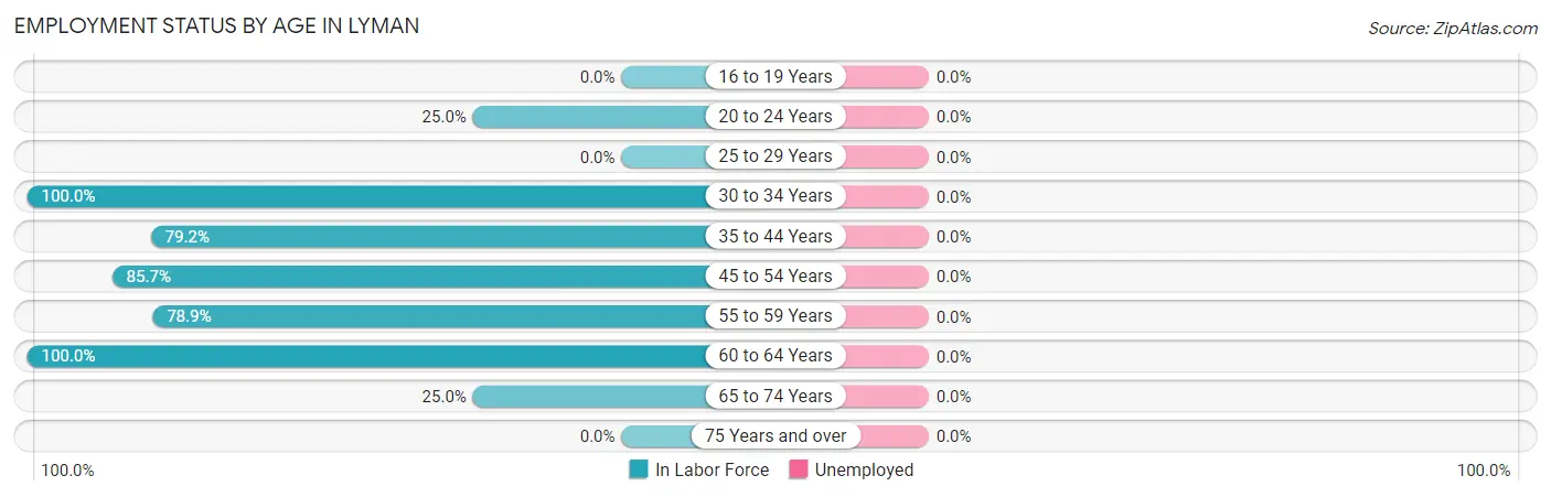 Employment Status by Age in Lyman