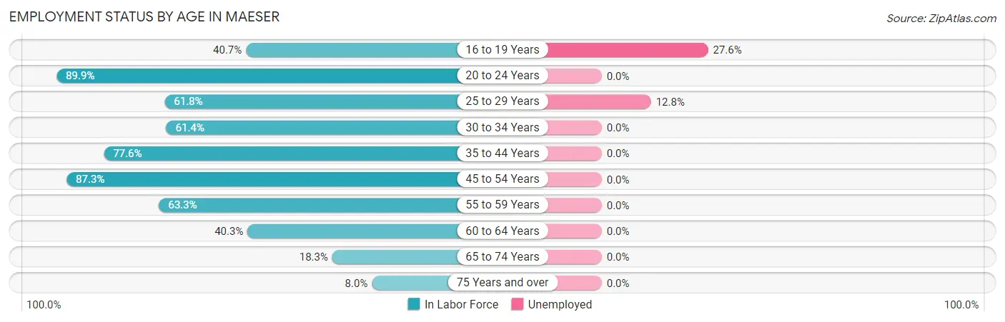 Employment Status by Age in Maeser