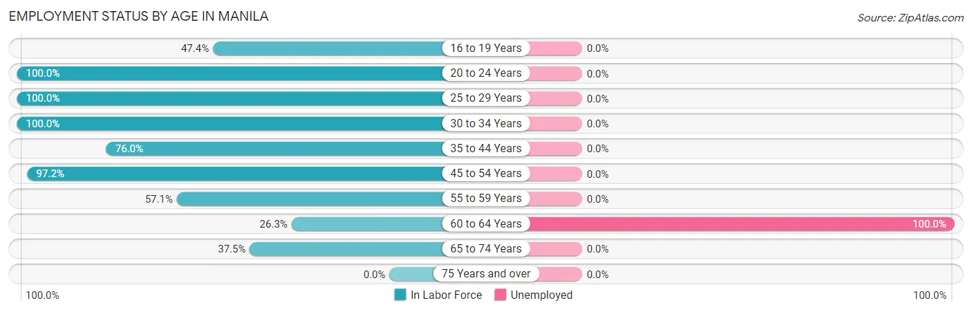 Employment Status by Age in Manila
