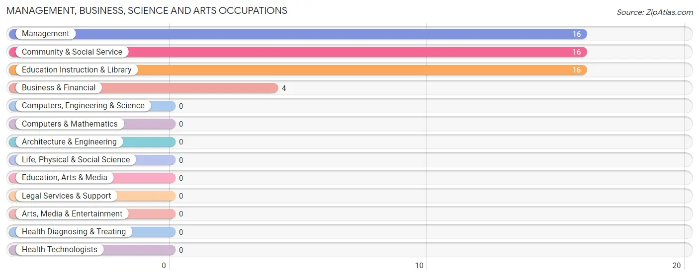 Management, Business, Science and Arts Occupations in Manila