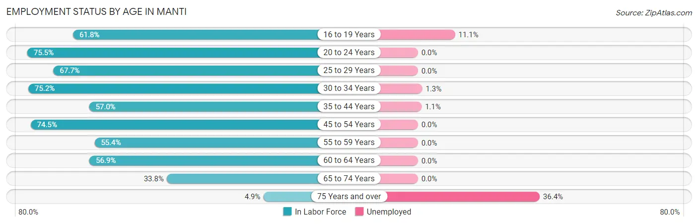 Employment Status by Age in Manti