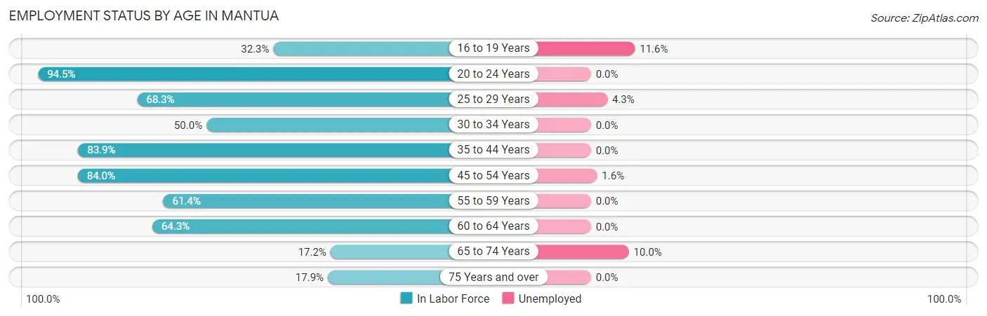 Employment Status by Age in Mantua