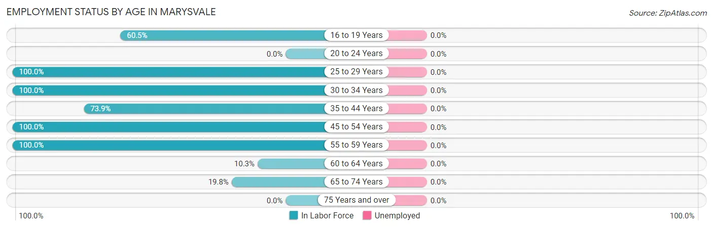 Employment Status by Age in Marysvale