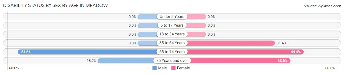 Disability Status by Sex by Age in Meadow