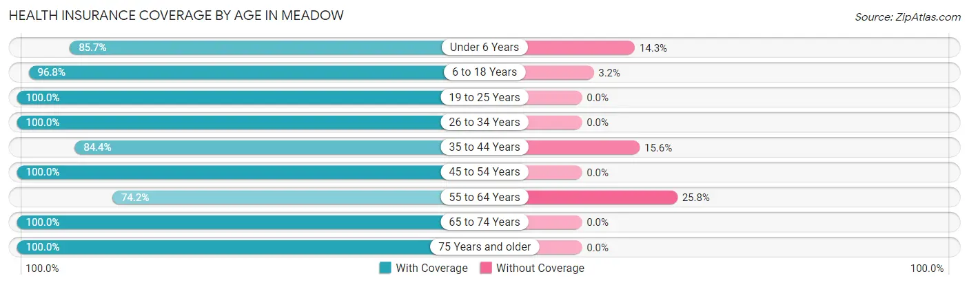 Health Insurance Coverage by Age in Meadow