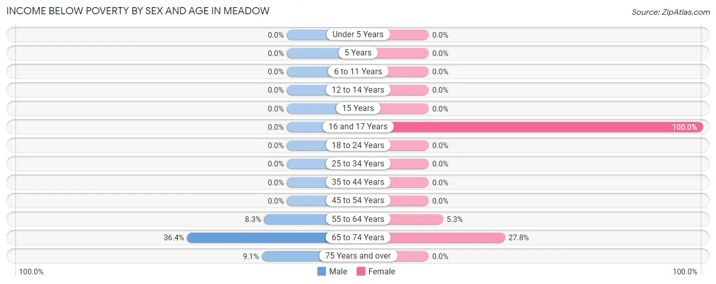 Income Below Poverty by Sex and Age in Meadow