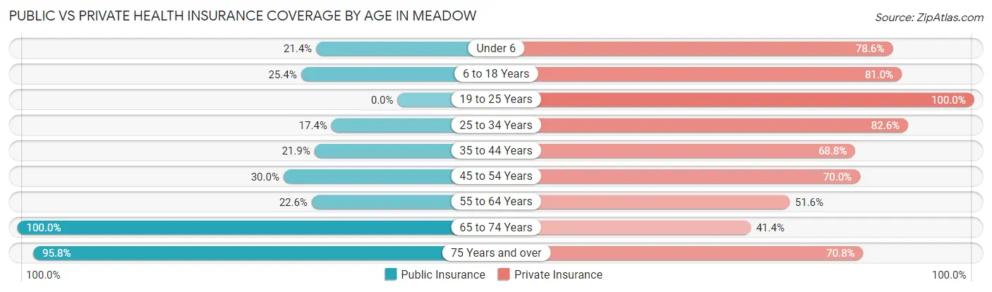 Public vs Private Health Insurance Coverage by Age in Meadow