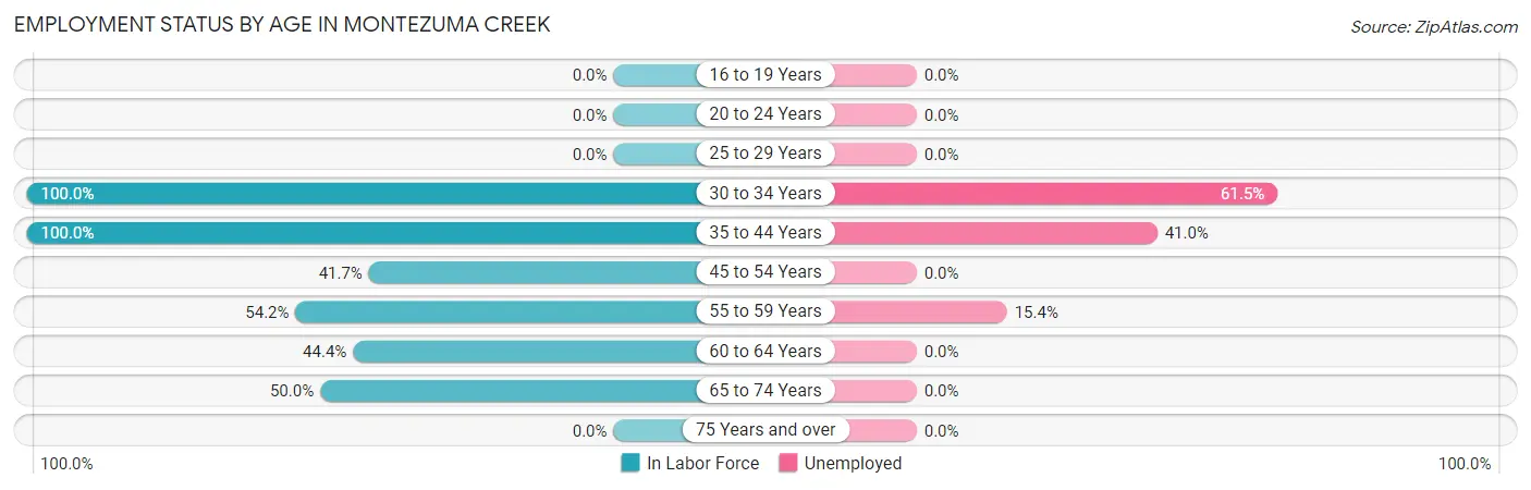 Employment Status by Age in Montezuma Creek
