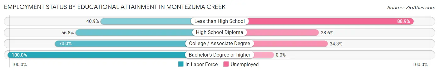 Employment Status by Educational Attainment in Montezuma Creek