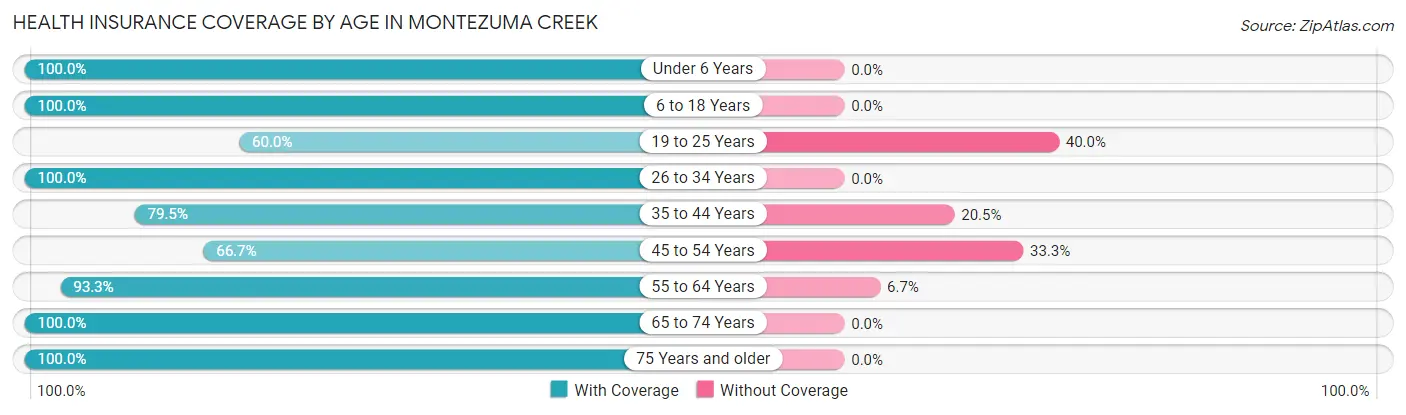 Health Insurance Coverage by Age in Montezuma Creek