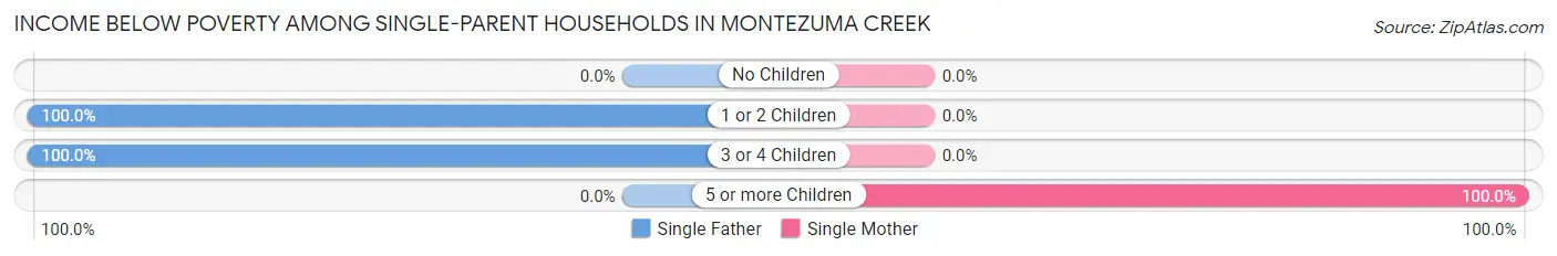Income Below Poverty Among Single-Parent Households in Montezuma Creek