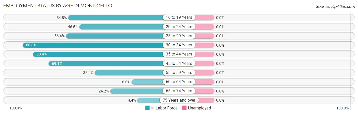 Employment Status by Age in Monticello