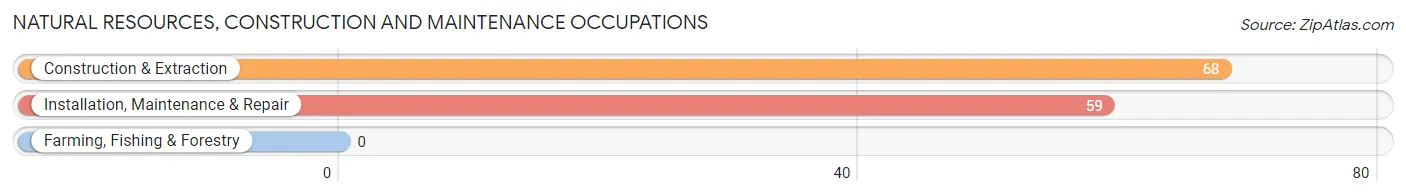 Natural Resources, Construction and Maintenance Occupations in Monticello