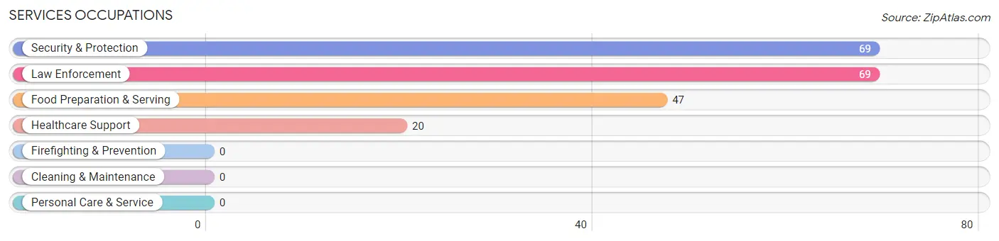 Services Occupations in Monticello