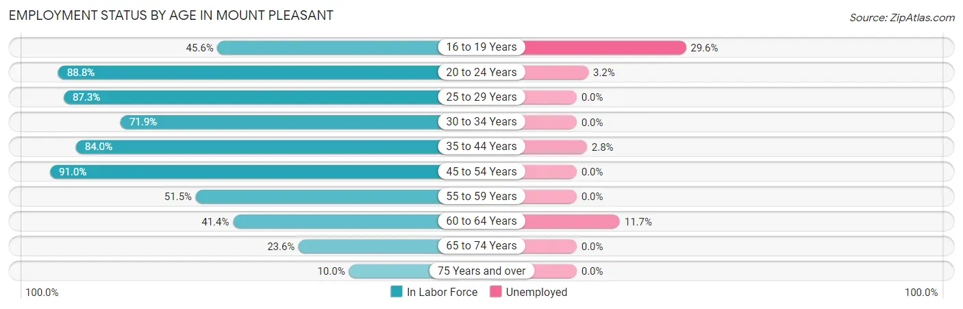 Employment Status by Age in Mount Pleasant