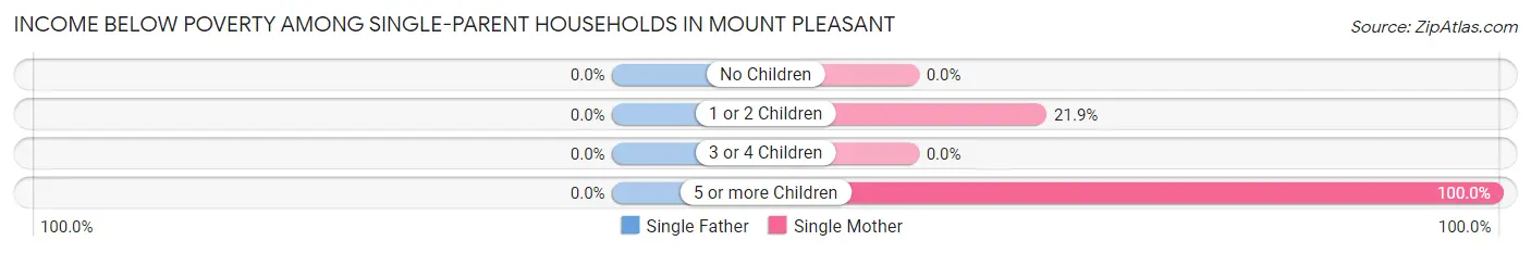 Income Below Poverty Among Single-Parent Households in Mount Pleasant