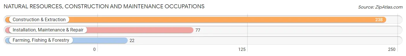 Natural Resources, Construction and Maintenance Occupations in Mount Pleasant