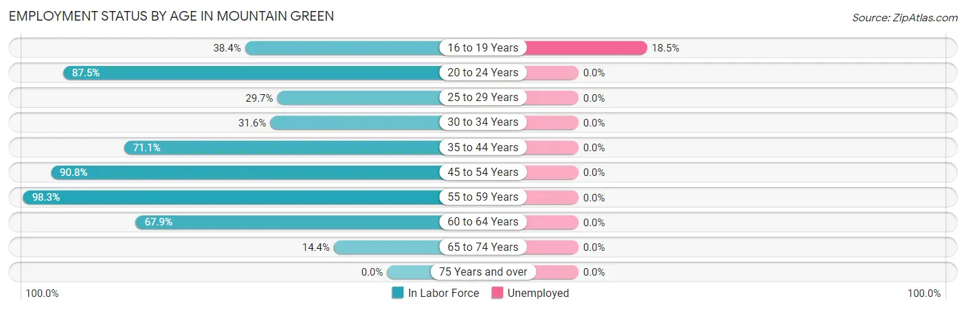 Employment Status by Age in Mountain Green