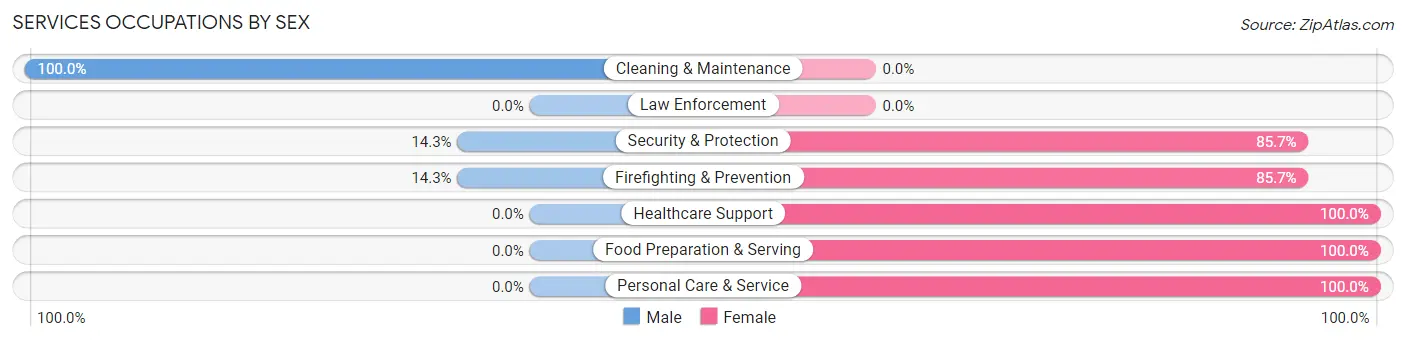 Services Occupations by Sex in Mountain Green